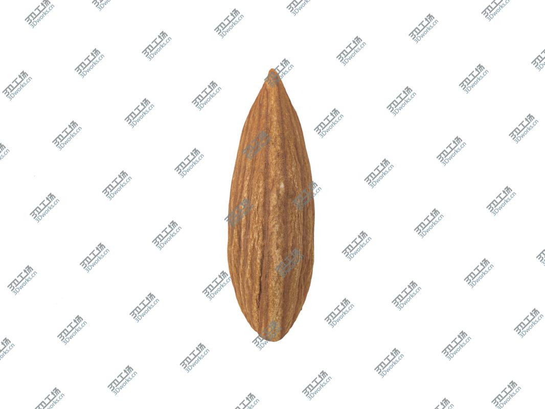 images/goods_img/2021040232/Highly Detailed Almond Scan 3D model/4.jpg